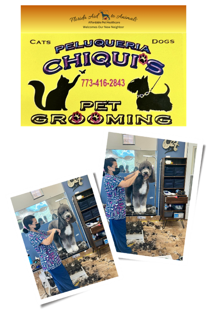 FATA Palm Bay location welcomes Peluqueria Chiqui's to their grooming suite, located in the southeast end of the practice
