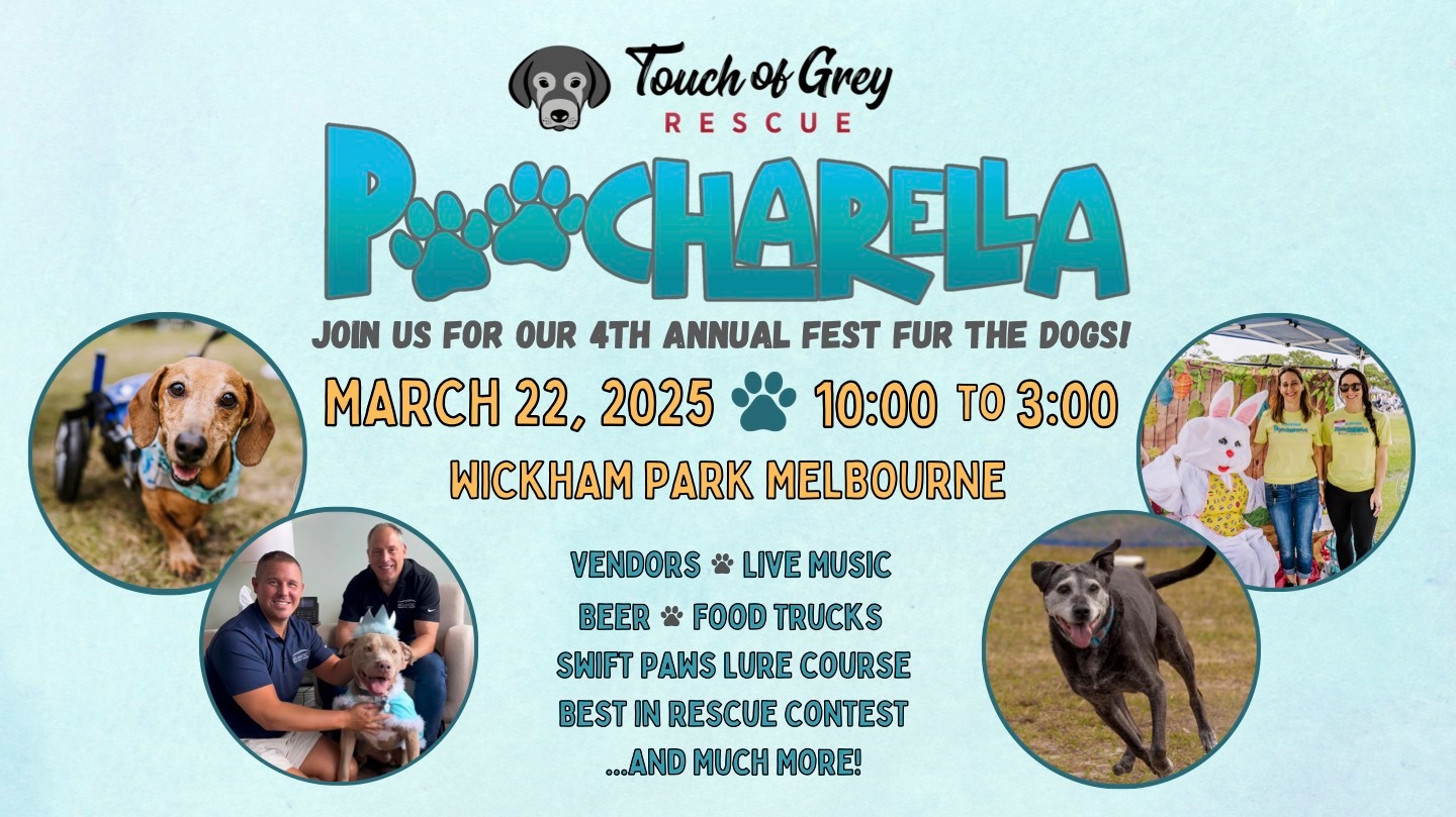 Poocharella2025