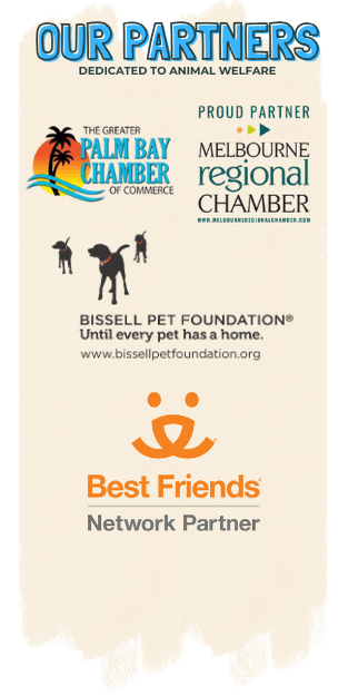 Partners in Animal Welfare