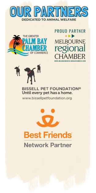 Partners in Animal Welfare
