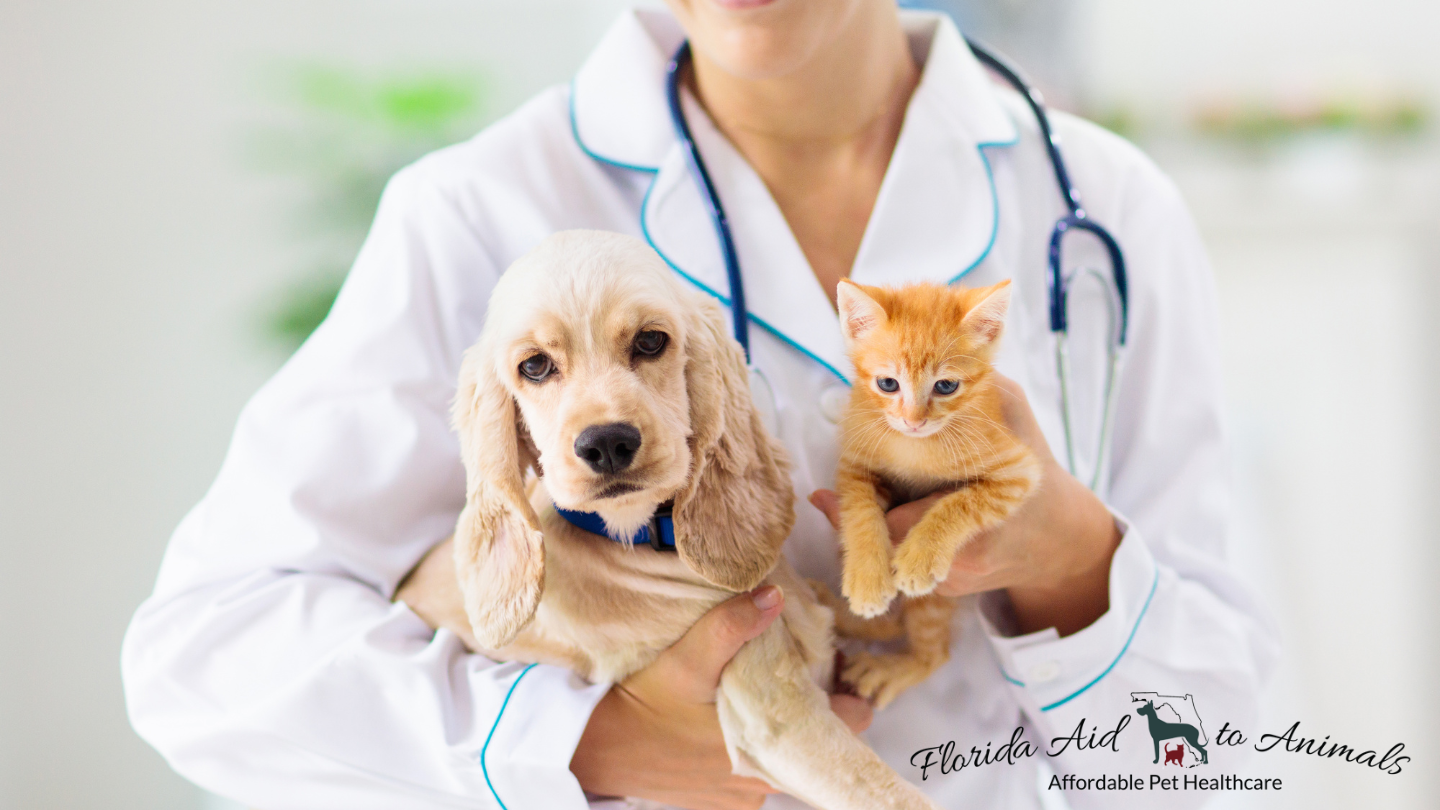 veterinarian holding puppy and kitten