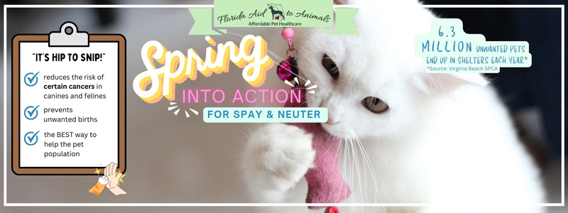 Florida Aid to Animals' SPRING INTO ACTION Virtual Challenge Spring 2024