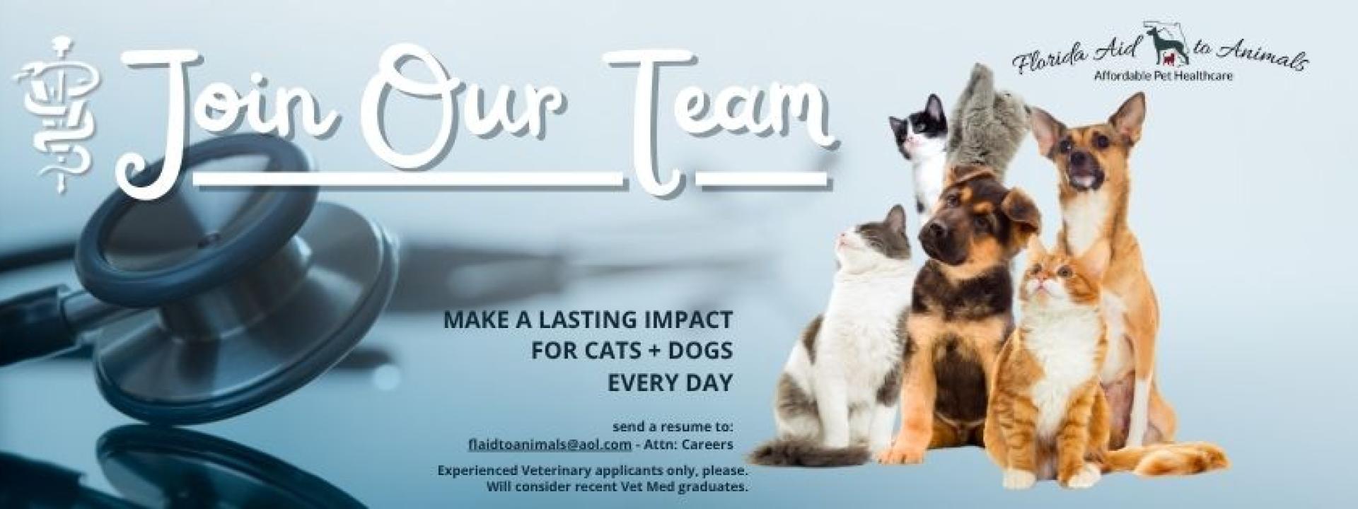 join our team